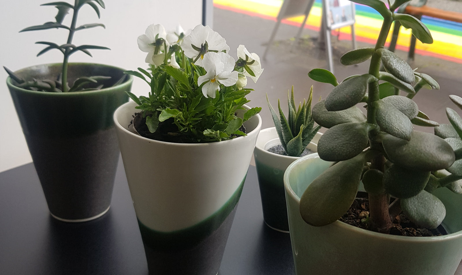 Listamaður vikuna 5. - 12. júní 2021 er Þórdís Baldursdóttir