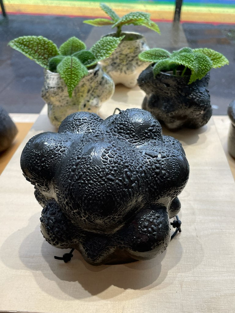 Gestalistamaður í Galleríinu á Skólavörðustíg 5 - Halla Ásgeirsdóttir