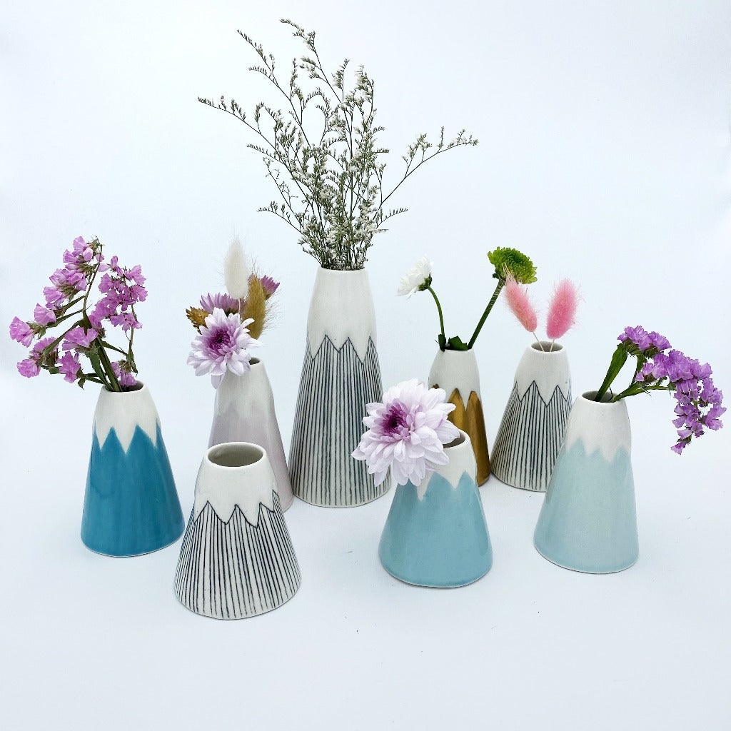 Group of different sizes of volcanoes vases with flowers.